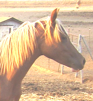 Breeze, Sept. 2007