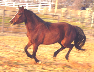 Jan. 2007