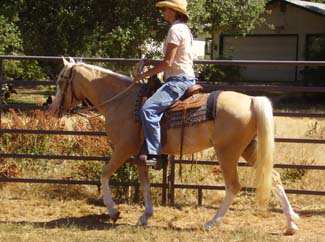 Please note that rider is 5'9 with a 36 inseam