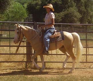 Please note that rider is 5'9 with a 36 inseam
